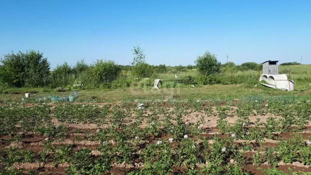 Участок в Калужская область, Бабынинский район, Утешево с/пос, с. ... - Фото 2