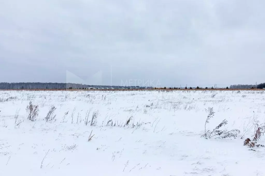 Участок в Тюменская область, Тюменский район, д. Елань  (7.21 сот.) - Фото 0