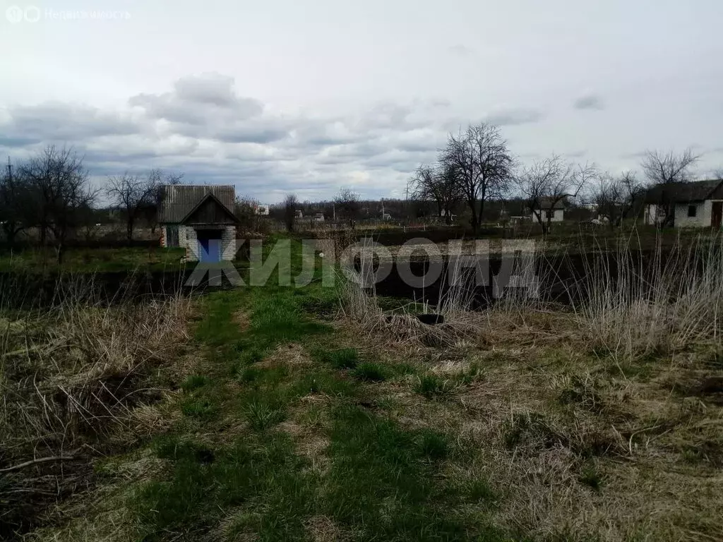 Участок в Брянский район, посёлок Мичуринский (508 м) - Фото 2