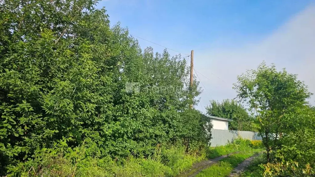 Участок в Алтайский край, Барнаул Дружба СНТ, 51/37 (6.6 сот.) - Фото 1