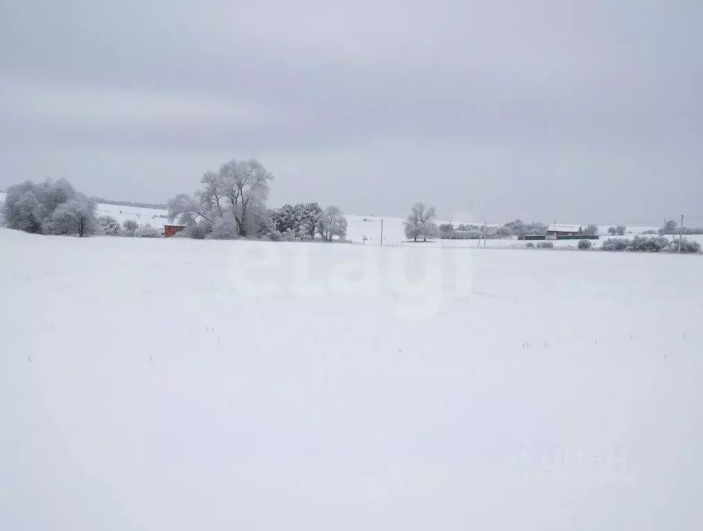 Участок в Тульская область, Новомосковск городской округ, с. Стрельцы  ... - Фото 1