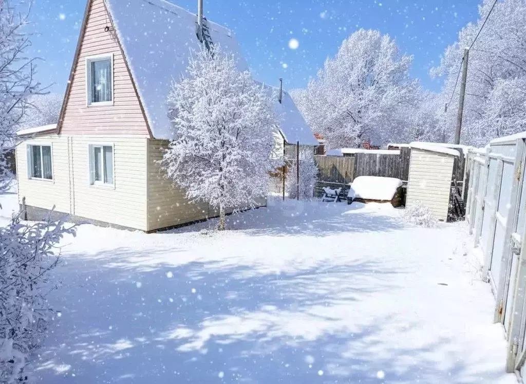 Дом в Камчатский край, Елизовский муниципальный округ, Меркурий СНТ  ... - Фото 1
