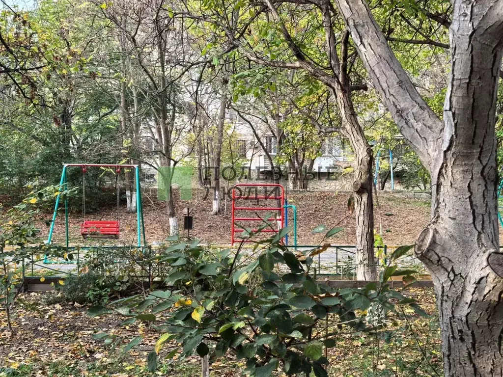 Студия Краснодарский край, Новороссийск просп. Дзержинского, 207 (18.3 ... - Фото 1