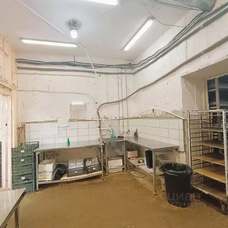 Помещение свободного назначения в Москва Подъемная ул., 14С26 (250 м) - Фото 1