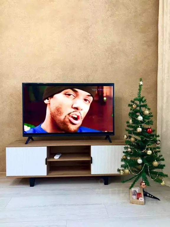 Студия Краснодарский край, Краснодар Российская ул., 70/6 (30.0 м) - Фото 1