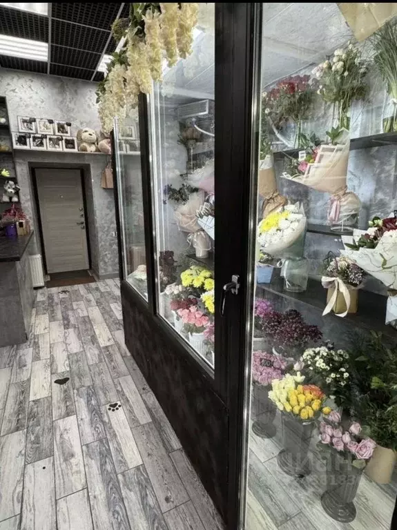 Помещение свободного назначения в Московская область, Домодедово ... - Фото 1