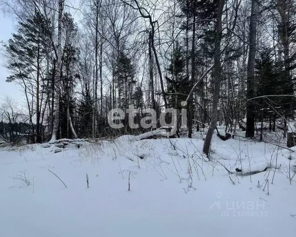 Участок в Красноярский край, Емельяновский район, пос. Элита Сосновая ... - Фото 0