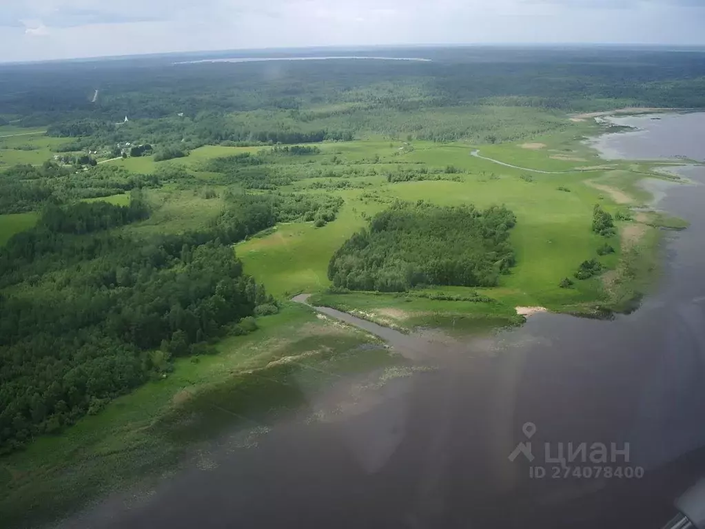 Участок в Тверская область, Осташковский городской округ, д. Хитино  ... - Фото 0