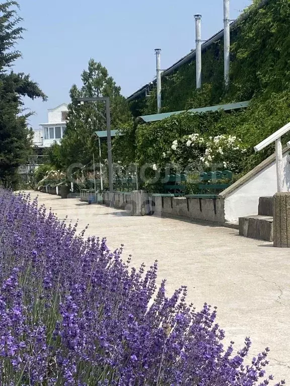 Студия Севастополь пос. Любимовка, ул. Южногородская, 36к16 (18.0 м) - Фото 2