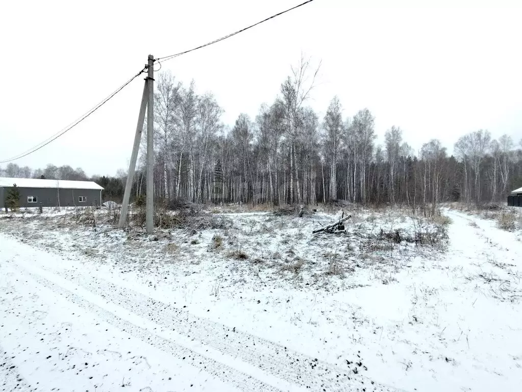 Участок в Курганская область, Кетовский муниципальный округ, деревня ... - Фото 2