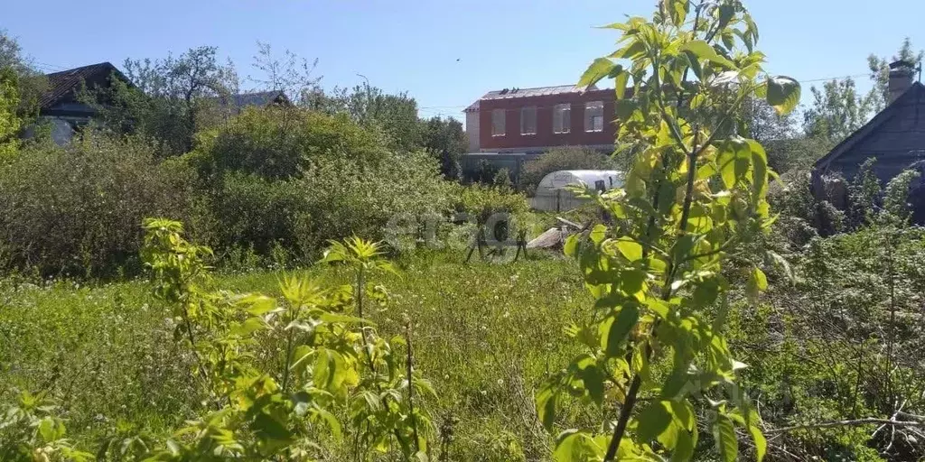 Участок в Марий Эл, Волжск ул. Прохорова (10.0 сот.) - Фото 0