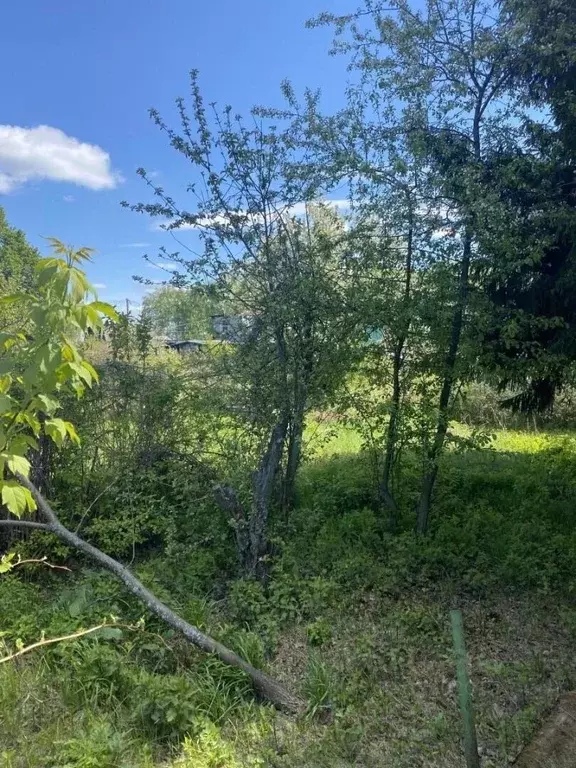 Участок в Алтайский край, Барнаул городской округ, пос. Плодопитомник, ... - Фото 1