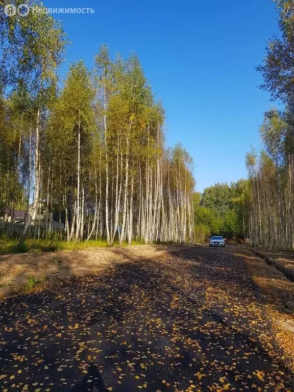 Участок в Дмитровский городской округ, деревня Афанасово-3 (6.33 м) - Фото 0