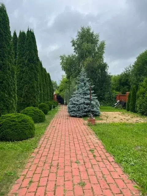 Участок в Владимирская область, Владимир Пиганово мкр, Центральная ... - Фото 1