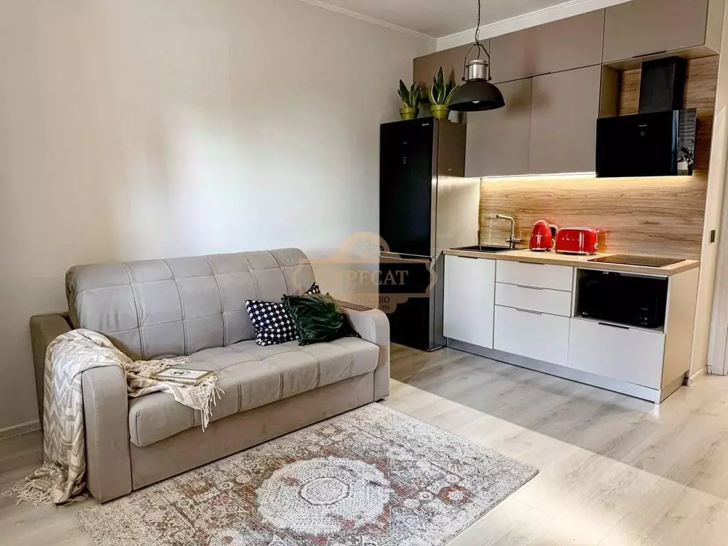 Студия Санкт-Петербург Комендантский просп., 66к7 (24.0 м) - Фото 1