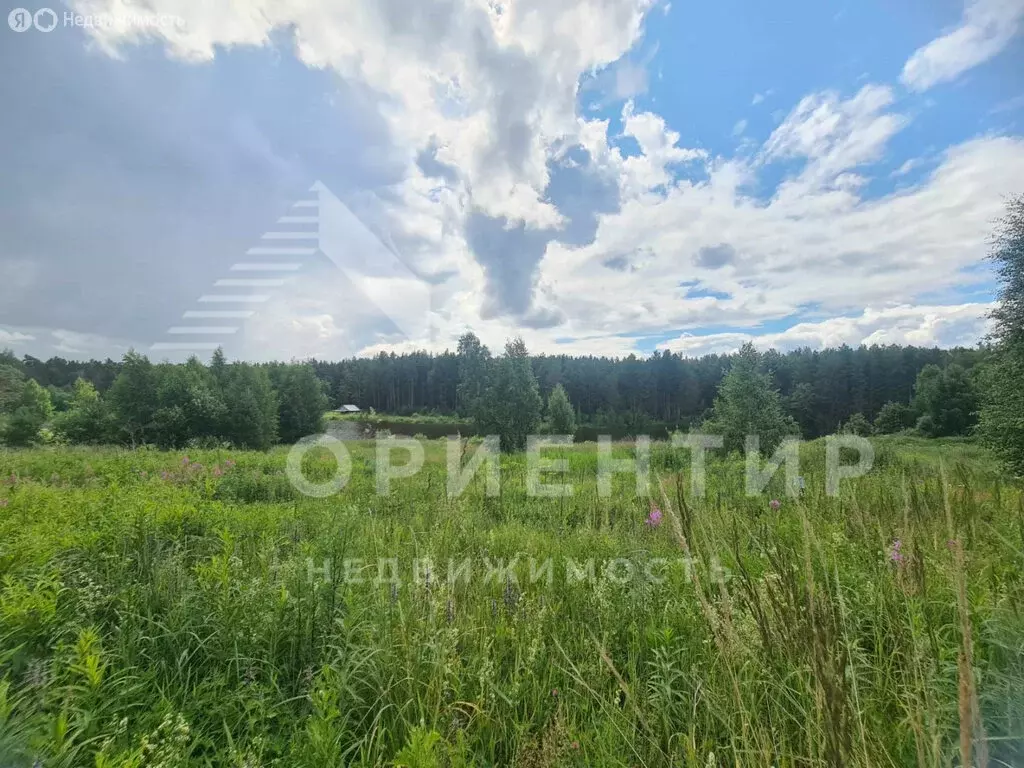 Участок в Свердловская область, муниципальное образование ... - Фото 1