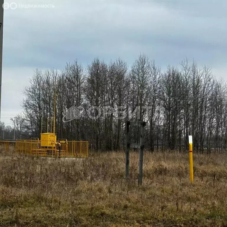 Участок в Тюменский муниципальный округ, село Щербак (9383 м) - Фото 1