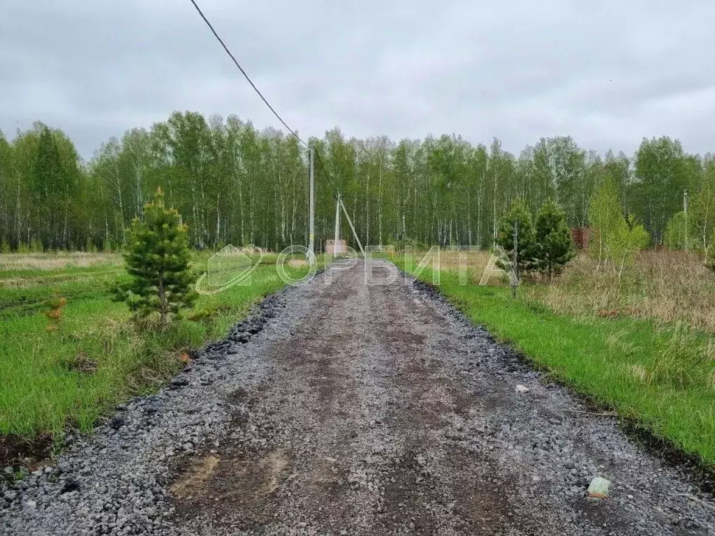 Участок в Тюменская область, Тюменский район Р-351, 300-й км (5.3 ... - Фото 0