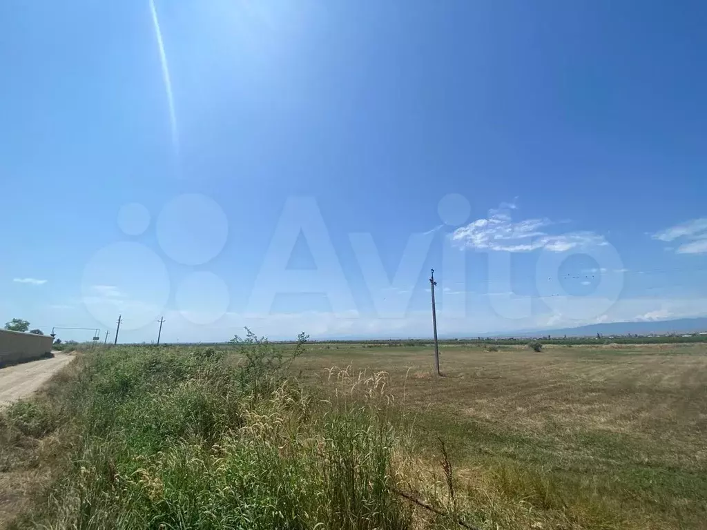 Участок 5 сот. (СНТ, ДНП) - Фото 0
