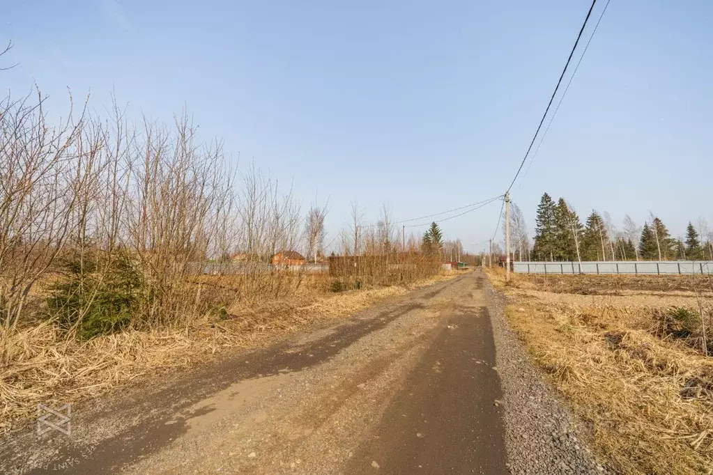 Участок в Ленинградская область, Тосненский район, Рябовское городское ... - Фото 2
