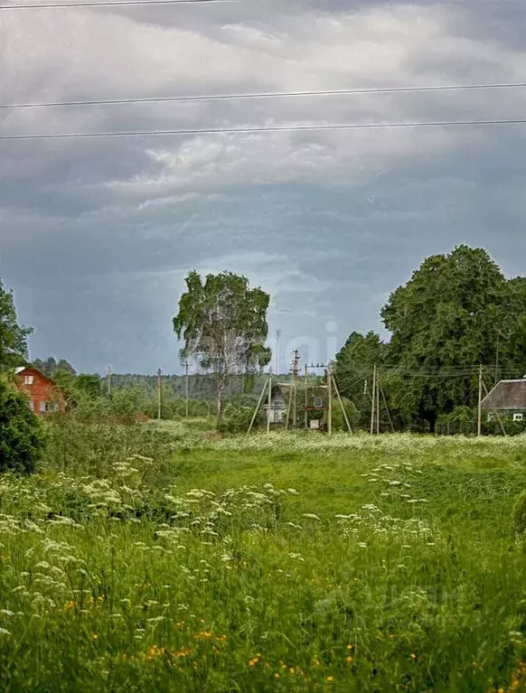 Участок в Калужская область, Износковский район, Мятлево с/пос, д. ... - Фото 2