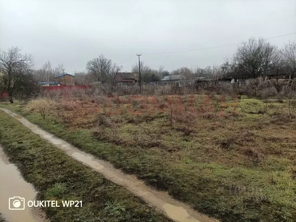 Участок в Ростовская область, Октябрьский район, Бессергеневское ... - Фото 1