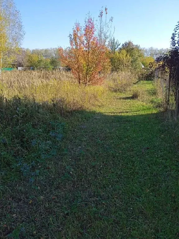 Продается участок в СНТ Надежда - Фото 2