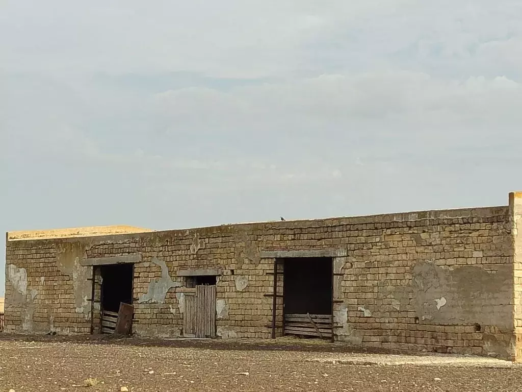 Производственное помещение в Калмыкия, Ики-Бурульский район, пос. ... - Фото 0