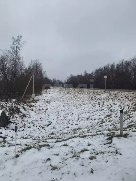 Участок в Тульская область, Веневский муниципальный округ, с. Хавки  ... - Фото 2