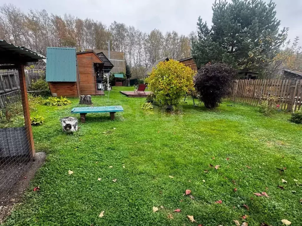 Дом в Алтайский край, Красногорский район, пос. Долина Свободы  (40 м) - Фото 1