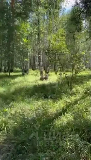 Участок в Свердловская область, Сысертский муниципальный округ, пос. ... - Фото 1