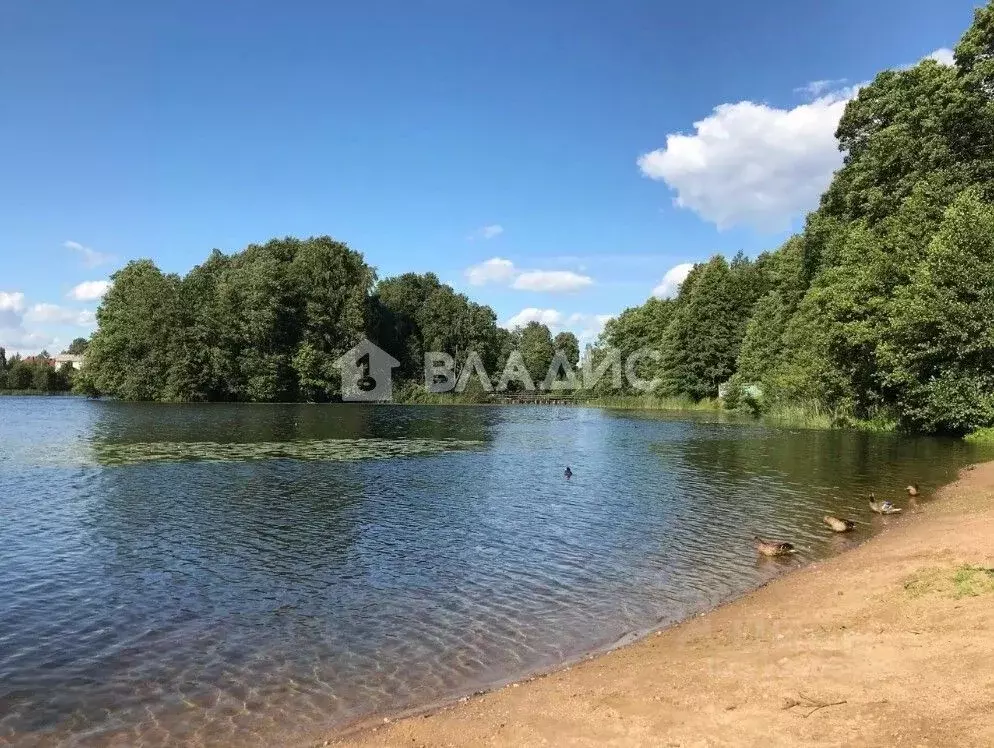 Участок в Санкт-Петербург пос. Парголово, Озерная ул. (29.48 сот.) - Фото 2