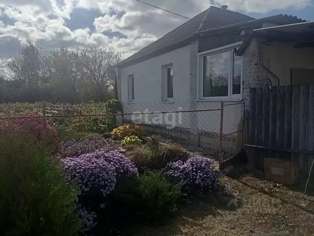 Дом в Белгородская область, Вейделевский район, Зенинское с/пос, с. ... - Фото 1