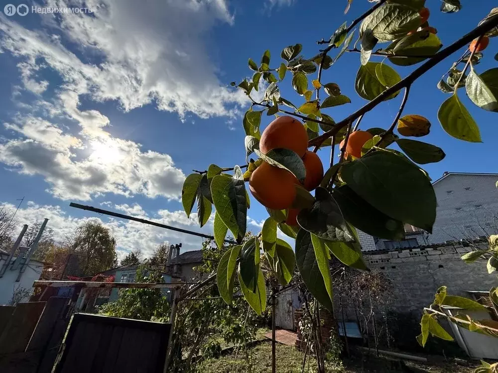 Участок в Анапа, улица Кати Соловьяновой, 67 (7 м) - Фото 1