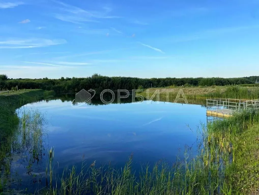 Участок в Тюменская область, Тюмень СОСН Березовое Озеро тер., проезд ... - Фото 0