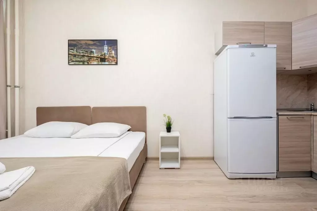 Студия Санкт-Петербург Пулковское ш., 14Е (25.0 м) - Фото 2