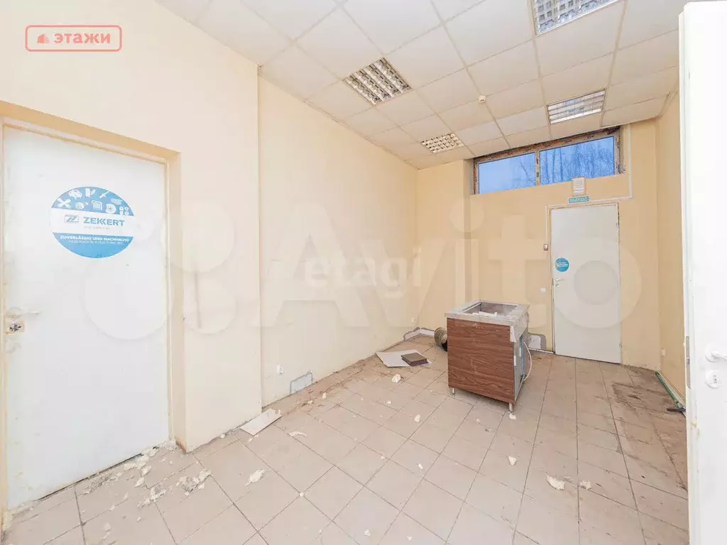 Сдам помещение свободного назначения, 42.4 м - Фото 1