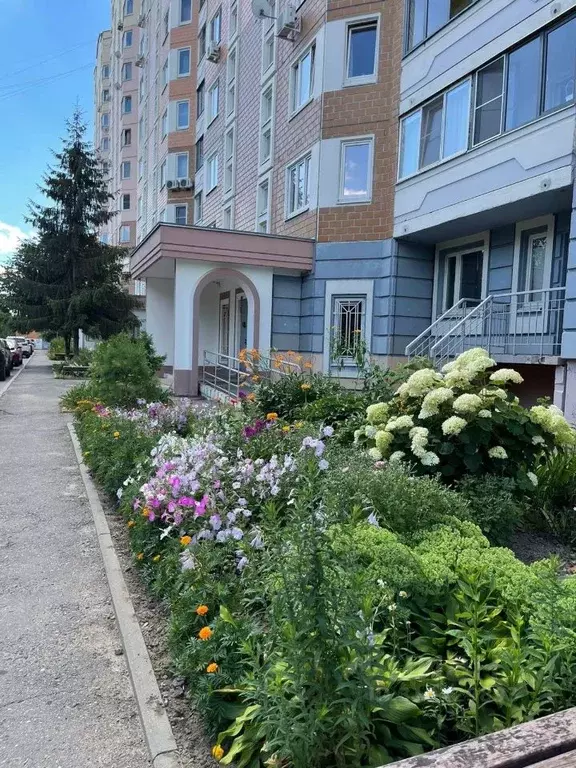 1-к кв. Московская область, Домодедово Центральный мкр, проезд ... - Фото 1