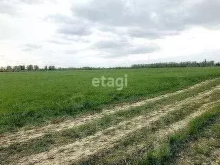 Участок в Ярославская область, Ярославский муниципальный округ, д. ... - Фото 1