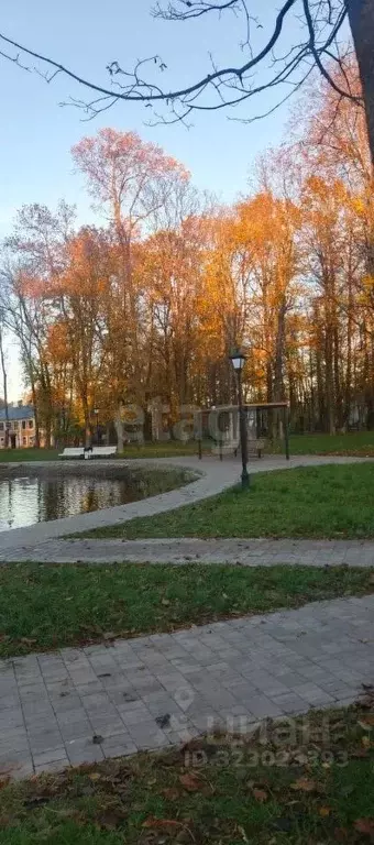 Дом в Псковская область, Печоры Каштановая ул., 4 (128 м) - Фото 1