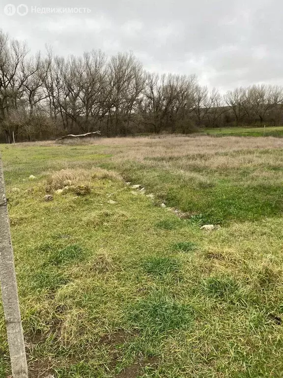 Участок в Белогорский район, Цветочненское сельское поселение, село ... - Фото 1