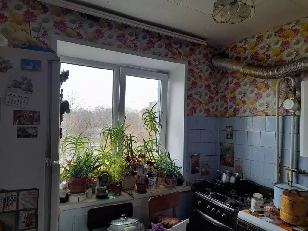 1-к кв. Белгородская область, Белгород Садовая ул., 39 (31.0 м) - Фото 0