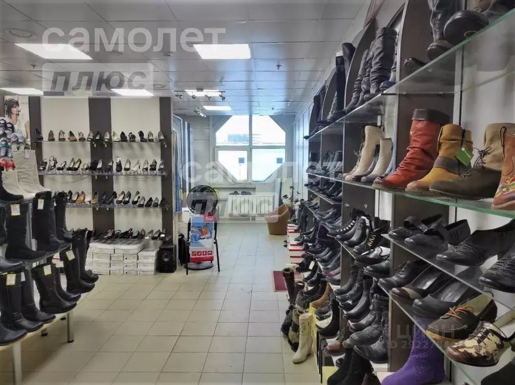 Торговая площадь в Московская область, Ступино просп. Победы, 63/24 ... - Фото 1