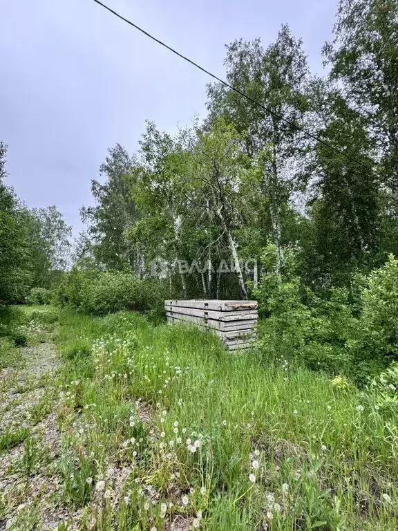 Участок в Челябинская область, Сосновский район, Кременкульское с/пос, ... - Фото 1