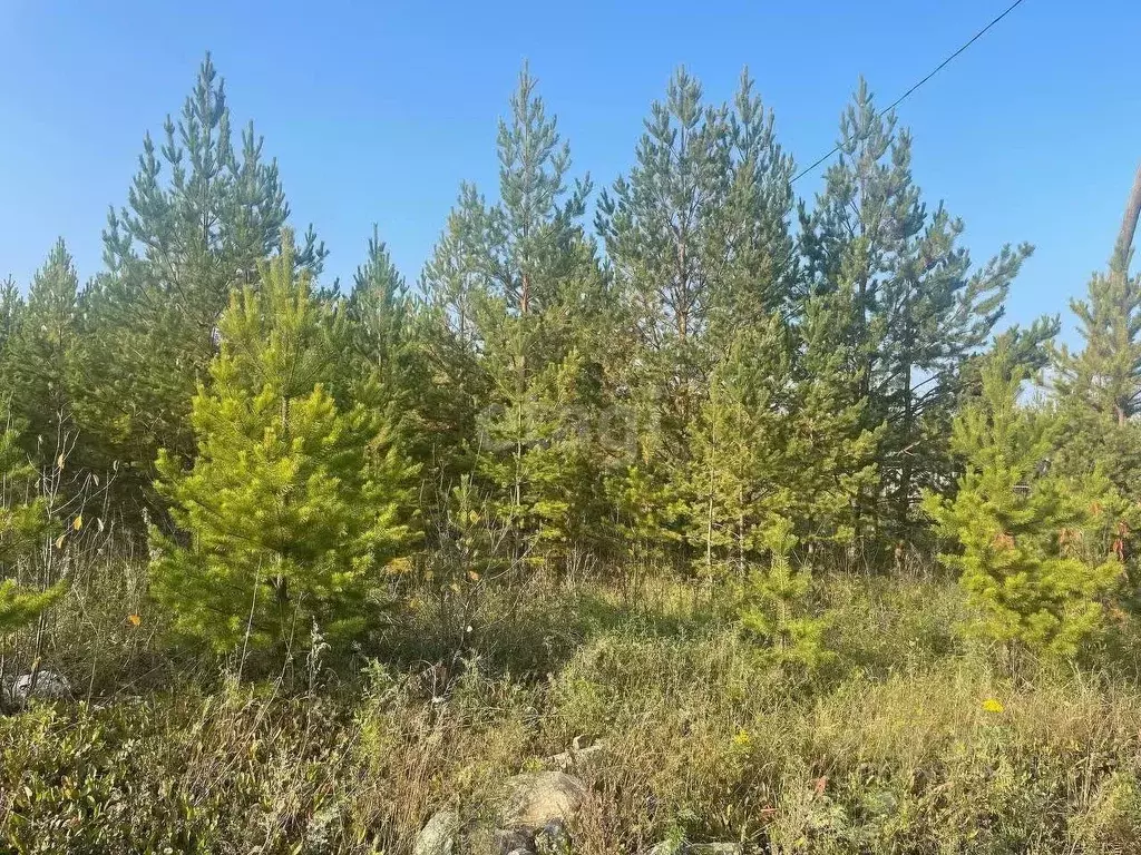 Участок в Свердловская область, Сысертский городской округ, пос. ... - Фото 0