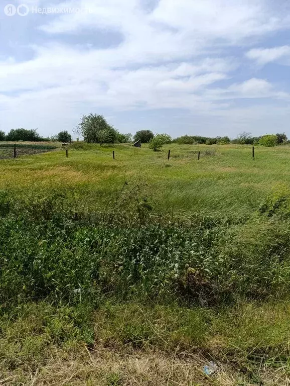 Участок в Лакедемоновка, Социалистическая улица, 50 (20 м) - Фото 1