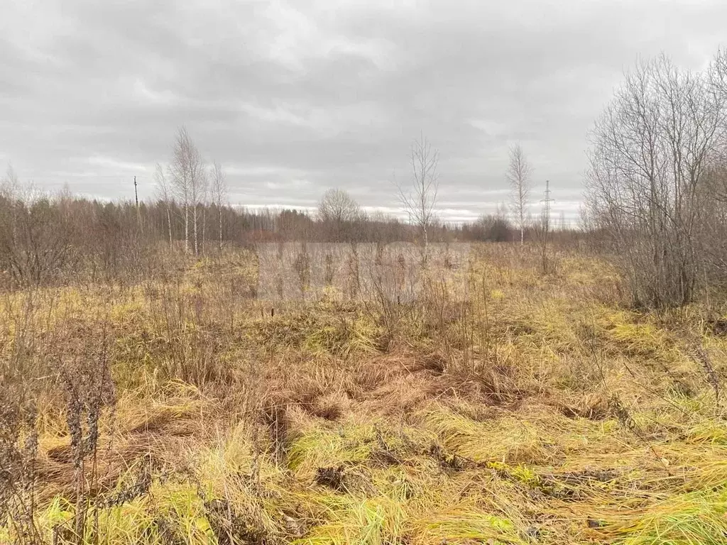 Участок в Вологодская область, Сокольский муниципальный округ, д. ... - Фото 1