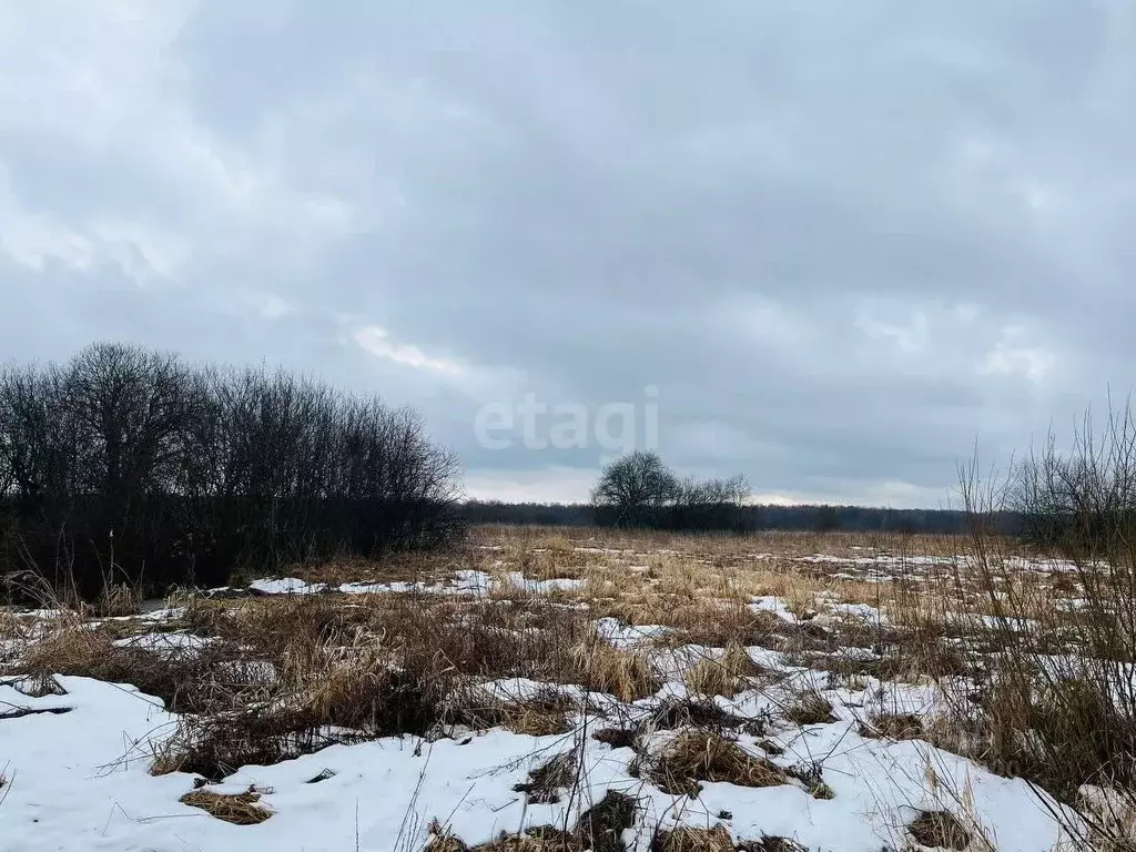 Участок в Ярославская область, Ярославский район, Кузнечихинское ... - Фото 0