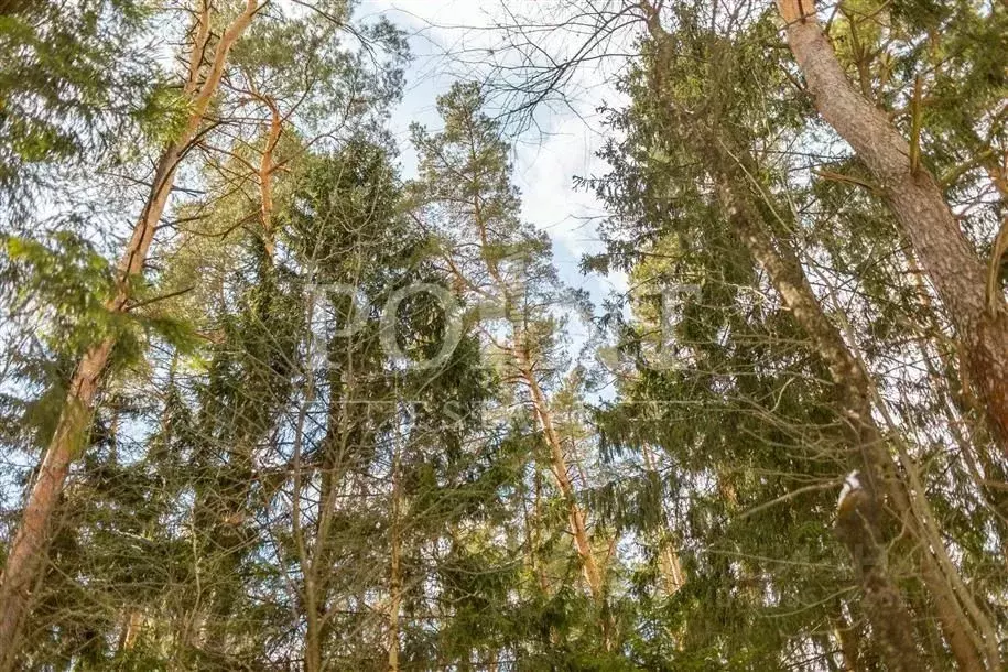 Участок в Московская область, Одинцовский городской округ, пос. ... - Фото 1