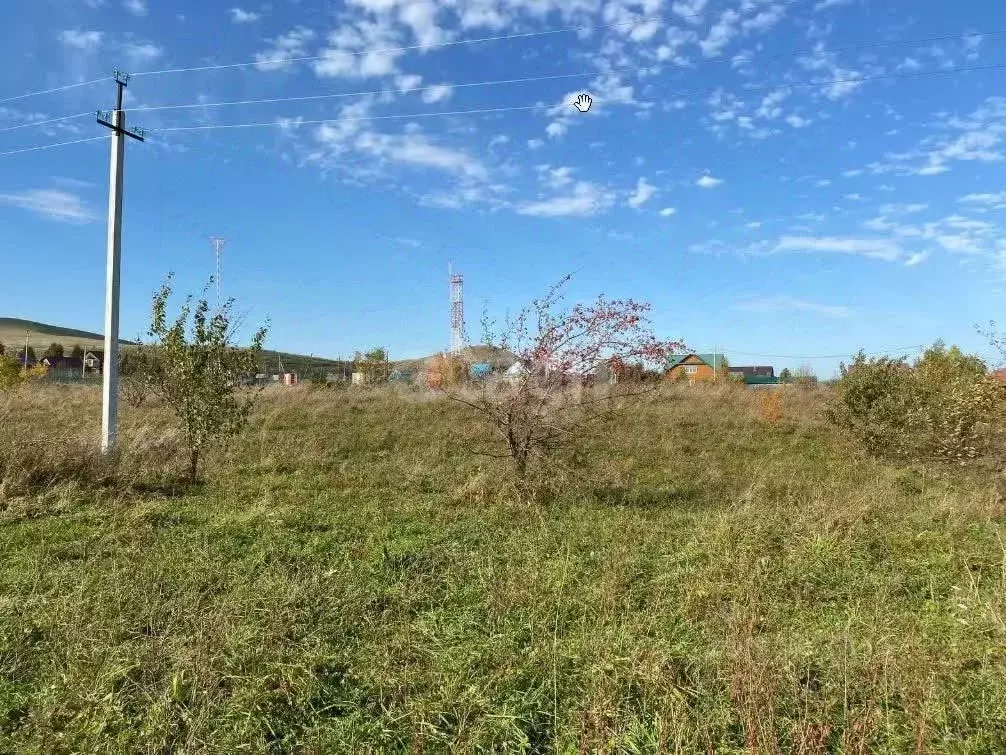 Участок в Алтайский край, Алтайский район, Айский сельсовет, ... - Фото 2